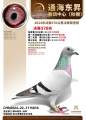 图片暂时未上传