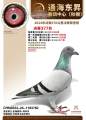 图片暂时未上传