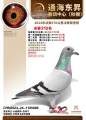 图片暂时未上传