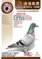 图片暂时未上传