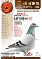 图片暂时未上传