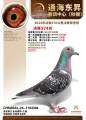 图片暂时未上传
