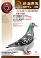 图片暂时未上传
