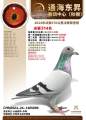 图片暂时未上传
