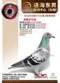图片暂时未上传