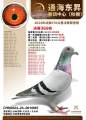 图片暂时未上传