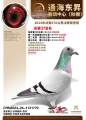 图片暂时未上传