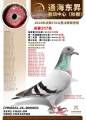 图片暂时未上传