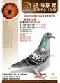 图片暂时未上传