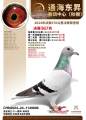 图片暂时未上传