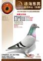 图片暂时未上传