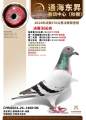 图片暂时未上传