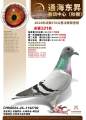 图片暂时未上传
