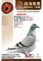 图片暂时未上传