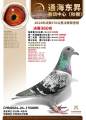 图片暂时未上传