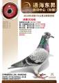 图片暂时未上传