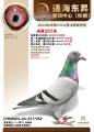 图片暂时未上传