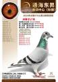 图片暂时未上传