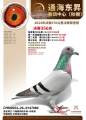 图片暂时未上传