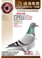 图片暂时未上传