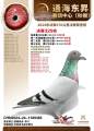 图片暂时未上传