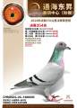 图片暂时未上传