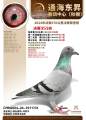 图片暂时未上传