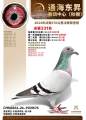 图片暂时未上传