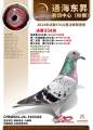 图片暂时未上传
