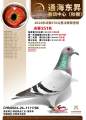 图片暂时未上传