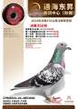 图片暂时未上传