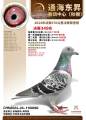 图片暂时未上传