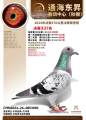 图片暂时未上传