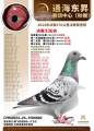图片暂时未上传