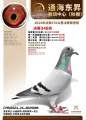 图片暂时未上传