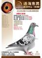 图片暂时未上传