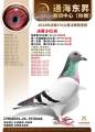 图片暂时未上传