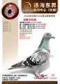 图片暂时未上传