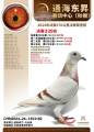 图片暂时未上传