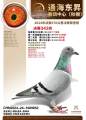 图片暂时未上传