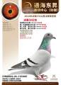 图片暂时未上传