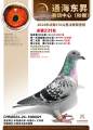 图片暂时未上传