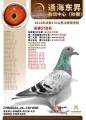 图片暂时未上传
