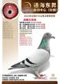 图片暂时未上传