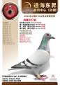 图片暂时未上传