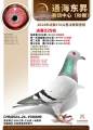 图片暂时未上传