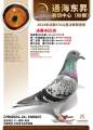 图片暂时未上传