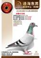 图片暂时未上传
