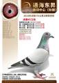 图片暂时未上传