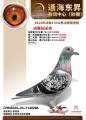 图片暂时未上传